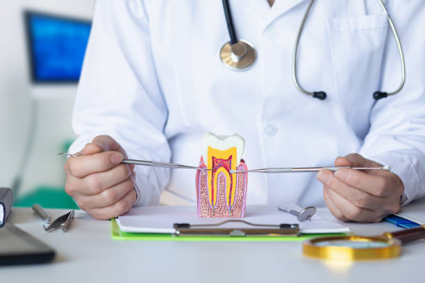 Best Pediatric Emergency Dentist in Syracuse, NE